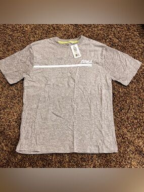Zumba Fitness Unisex Gray Short Sleeve Graphic Tee with White Stripe